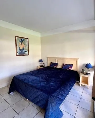 Apartment Blue Palm *